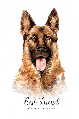 Poster Cachorro - Frase - Coleção Colors - Animais
