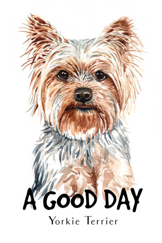Poster Cachorro - Frase - Coleção Colors - Animais