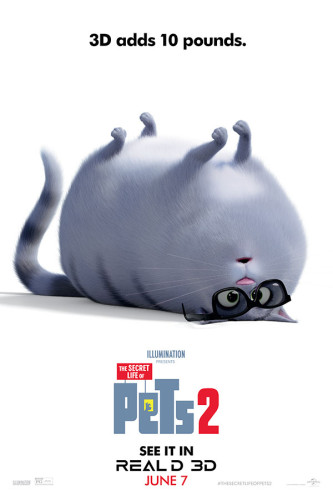 Poster Pets - Vida Secreta Dos Bichos - Filmes - Infantis