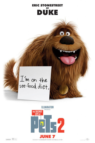Poster Pets - Vida Secreta Dos Bichos - Filmes - Infantis