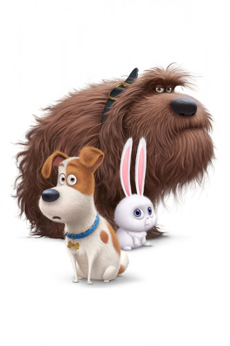 Poster Pets - Vida Secreta Dos Bichos - Filmes - Infantis