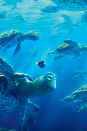 Poster Procurando Dory - Filmes - Infantis