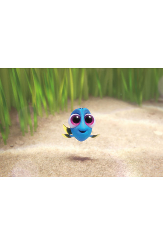 Poster Procurando Dory - Filmes - Infantis