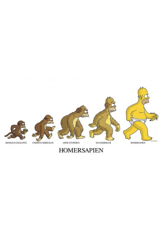 Poster Simpsons Homersapiens