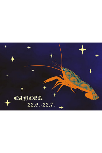 Poster Câncer - Zodíaco - Signos