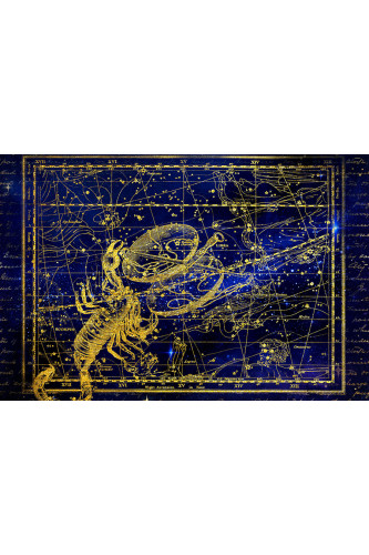 Poster Escorpião - Constelação - Zodíaco - Signos