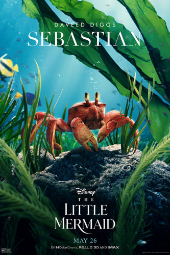 Poster Pequena Sereia - Little Mermaid - Disney - Filmes