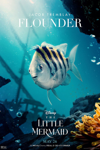 Poster Pequena Sereia - Little Mermaid - Disney - Filmes