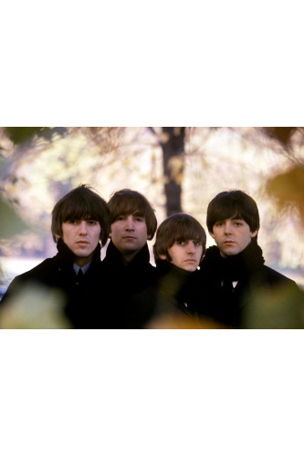 Poster The Beatles - Bandas de Rock