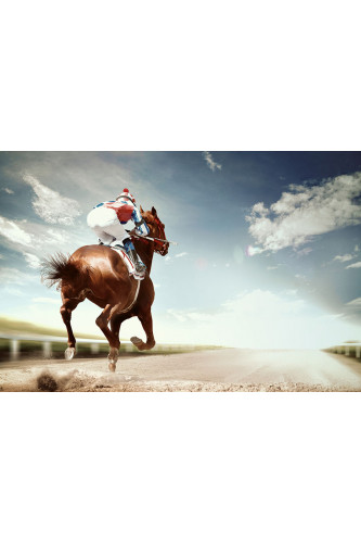 Poster Cavalo - Animais