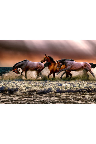 Poster Cavalo - Animais