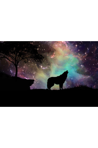 Poster Lobo - Animais