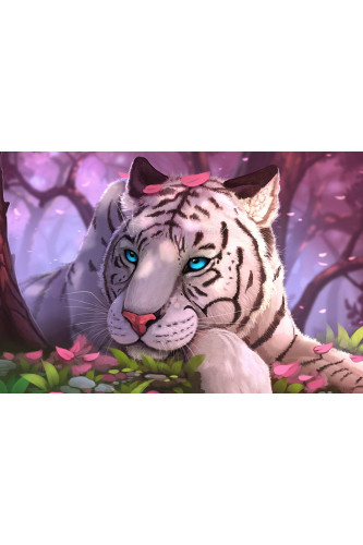 Poster Tigre - Animais