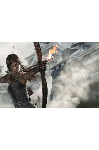 Poster Tomb Raider 2013