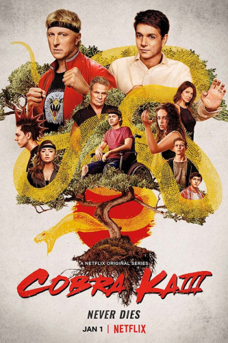 Poster Cobra Kai - Karate Kid - Séries