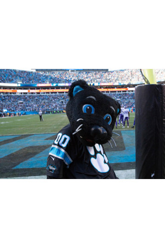 Poster Carolina Panthers - Futebol Americano - NFL