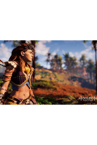 Poster Horizon - Games