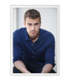 Poster Theo James