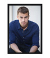 Poster Theo James