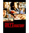 Poster Greys Anatomy 1° Temporada