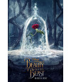 Poster Bela E A Fera - Beauty And The Beast