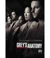 Poster Greys Anatomy