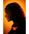 Poster Liga Da Justiça Justice League Wonderwoman