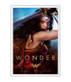 Poster Wonder Woman Mulher Maravilha