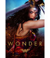 Poster Wonder Woman Mulher Maravilha