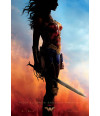 Poster Wonder Woman Mulher Maravilha