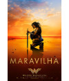 Poster Wonder Woman Mulher Maravilha