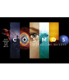Poster Cosmos A Spacetime Odyssey