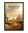 Poster Maze Runner Prova De Fogo Scorch Trials