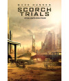 Poster Maze Runner Prova De Fogo Scorch Trials