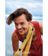 Poster Harry Styles - Artistas Pop