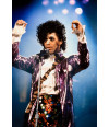 Poster Prince - Artistas Pop
