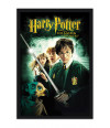 Poster Harry Potter 2 e a Camara Secreta