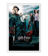 Poster Harry Potter 4 e O  Cálice De Fogo