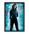 Poster Harry Potter E O Enigma Do Principe Hermione