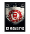 Poster Seriado2 Monkeys Macacos