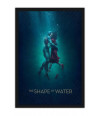 Poster A Forma D’Água – Shape of Water