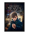 Poster Fantastic Beasts – Animais Fantásticos e Onde Habitam