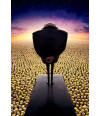 Poster Meu Malvado Favorito 2