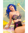 Poster Katy Perry
