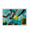 Poster Tenistas - Raquete E Bola - Esporte - Tennis
