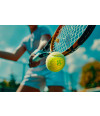 Poster Tenistas - Raquete E Bola - Esporte - Tennis