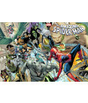 Poster The Amazing Spider Man - Capas De Quadrinhos - HQ - Marvel
