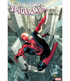 Poster The Amazing Spider Man - Capas De Quadrinhos - HQ - Marvel