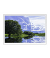 Poster Pantanal - Paisagens Nacionais - Fotografia