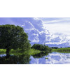 Poster Pantanal - Paisagens Nacionais - Fotografia